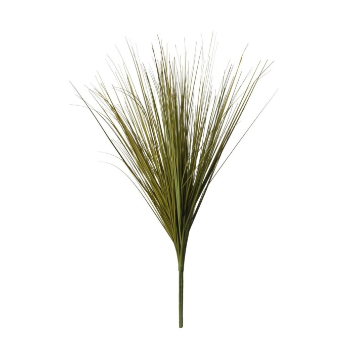 MAZZO ERBA CIPOLLINA CM65